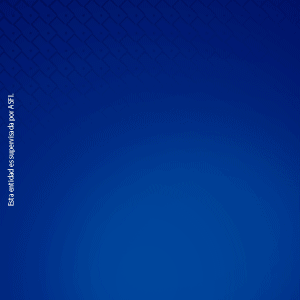 Banco Bisa S.A.