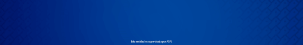 Banco Bisa S.A.