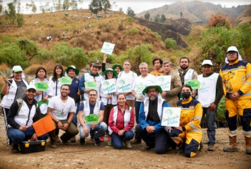 Más de 2 mil voluntarios respondieron a la convocatoria de CBN y sus aliados para revitalizar el Parque Nacional Tunari