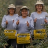 Lo más leído: El hombre que convirtió a Perú en el mayor exportador de una fruta que apenas existía en el país