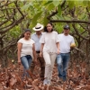 El cacao ecuatoriano ante el alza mundial de precios: ¿la oportunidad histórica de la 