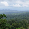 Costa Rica apuesta por la economía verde para superar la pandemia del coronavirus