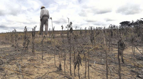 Agro pide reprogramar deudas por daño de $us 240 millones por sequía