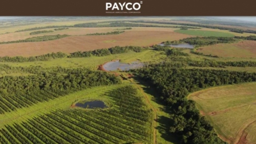 Una oferta por 500 millones de dólares por una megaempresa agrícola despierta intriga en Paraguay