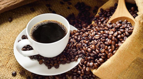 Altura y variedad incrementan la calidad del café en Bolivia