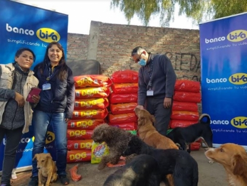 Trabajadores de Banco BISA recaudaron más de cinco toneladas de ayuda para albergues de animales.