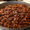 Bolivia exportó cacao por US$ 1,5 millones en 2023