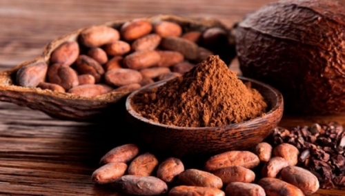El alza mundial del cacao refuerza y adapta reglas entre los productores sudamericanos