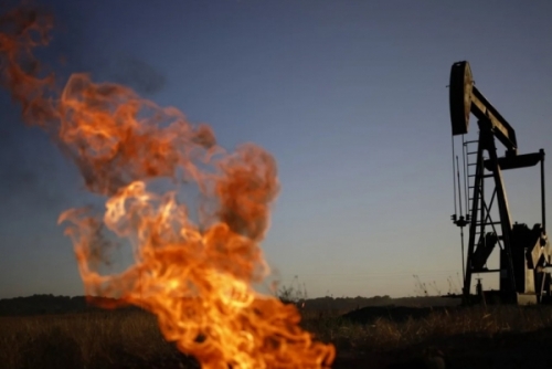 Energética argentina descubrió un yacimiento de petróleo en la selva de ecuatoriana