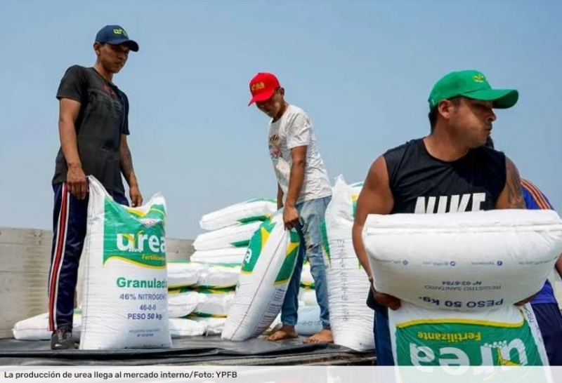 Crece la venta de urea en el mercado interno, Santa Cruz acapara el 63% de la producción