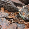 Minerales críticos en Latinoamérica: protagonistas de la electromovilidad