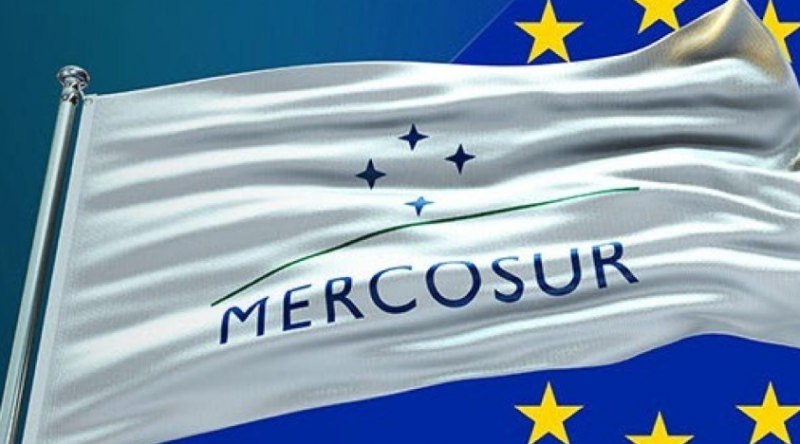 Próxima Cumbre Mercosur puede ser la 