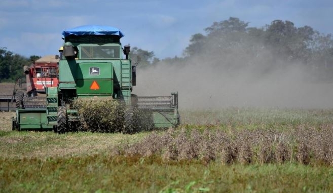 Productores bolivianos de cereales alertan posibles pérdidas de US$ 250 millones por freno a envíos de soya