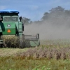 Productores bolivianos de cereales alertan posibles pérdidas de US$ 250 millones por freno a envíos de soya