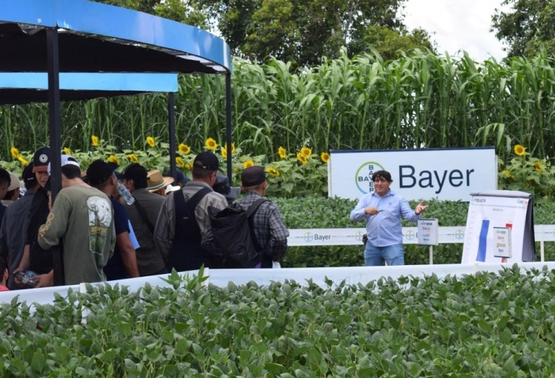 Bayer, un aliado estratégico para el productor agrícola