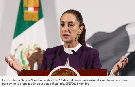 EE.UU. suspenderá exportaciones de ganado mexicano durante 15 días por tema de gusano barrenador