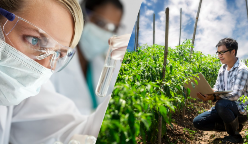 Comienza la convocatoria a Legado 2025, el Programa de Bayer y Endeavor