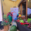 Banco FIE promueve proyectos de agroecología y acceso al agua