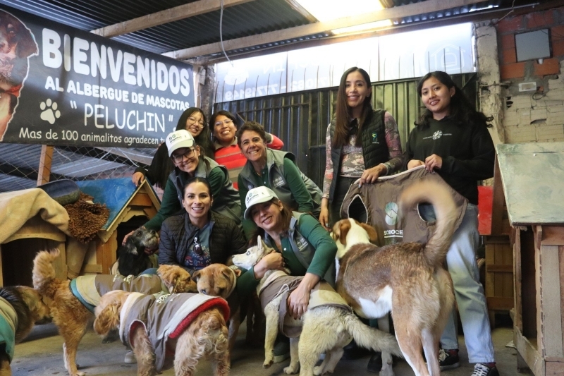 SOBOCE llevan calor y esperanza a perros de albergues y calles