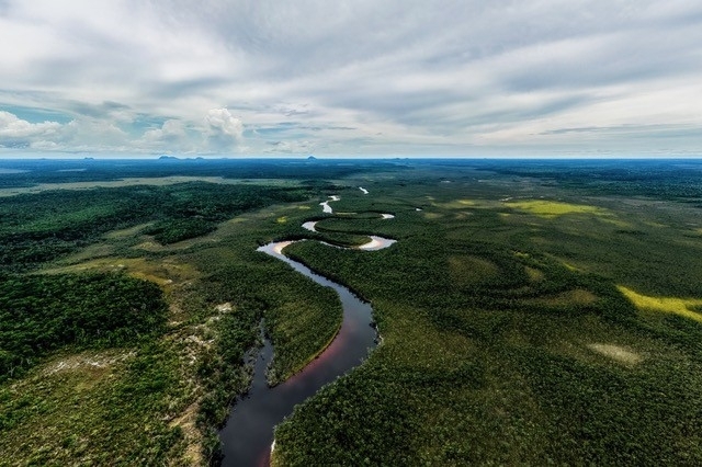 CAF destinará USD 40.000 millones para impulsar el crecimiento verde