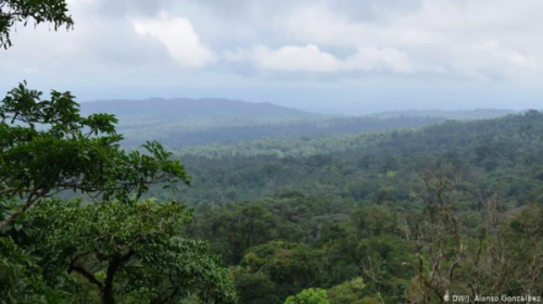 Costa Rica apuesta por la economía verde para superar la pandemia del coronavirus