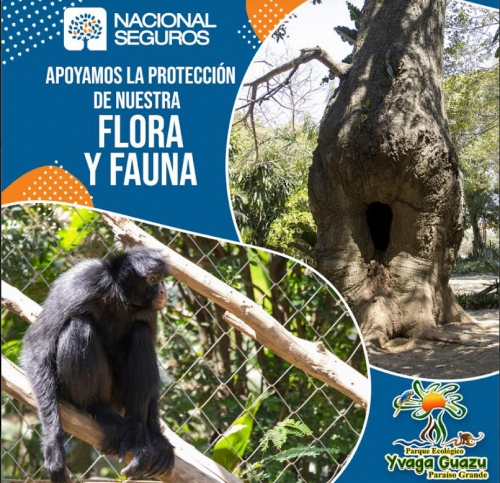Nacional Seguros promueve el conocer y cuidar nuestra fauna y flora apoyando al Parque Yvaga Guazú