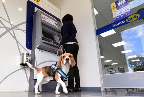 Lo más leído: Las mascotas son bienvenidas en  todas las agencias de Banco BISA