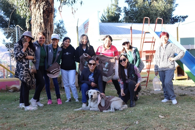 SOBOCE llevan calor y esperanza a perros de albergues y calles